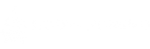 http://www.bodyandmind.pl/