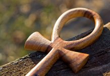 Czy podobają nam się koszulki religijne? Czy podobają nam się koszulki religijne?