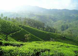 Wyjeżdżasz do Indii? Zabezpiecz się przed zachorowaniem na dur brzuszny