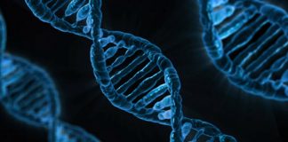 Diagnostyka genetyczna płodu – także nieinwazyjna