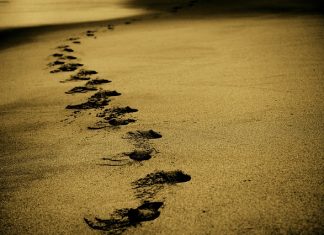 Popularność Krakowa