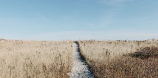 Tańsze wakacje nad morzem, czy w górach