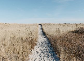 Tańsze wakacje nad morzem, czy w górach