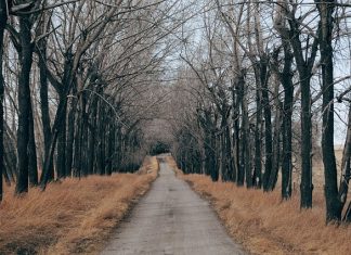 Co można robić w Zakopanem, gdy pada deszcz
