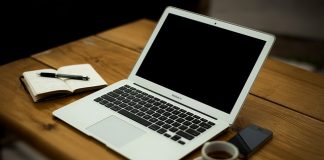 Czego nie lubią komary?