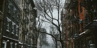 Żyły złota- autostrady