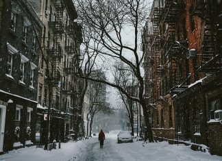 Żyły złota- autostrady