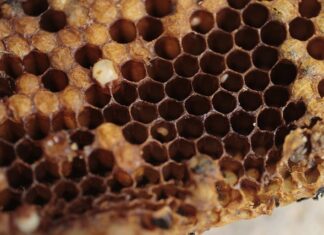 Czy ZigBee jest bezpieczne?