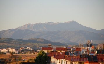 Ile kosztuje nagrzewnica gazowa?