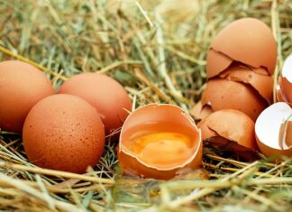 Czy jajka gotowane zbijają cukier?