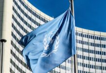 Jak wybrać FURminator?