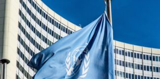 Jak wybrać FURminator?