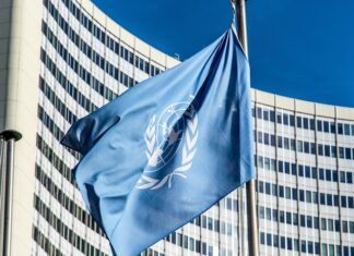 Jak wybrać FURminator?