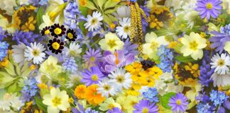 Gdzie zrobić kolaż?