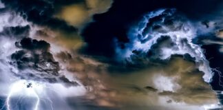 Jakie śruby do toalety?