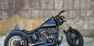 Jaką pojemność miski dla goldena?