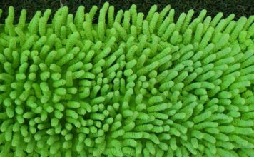 Jaki płyn do mopa parowego?