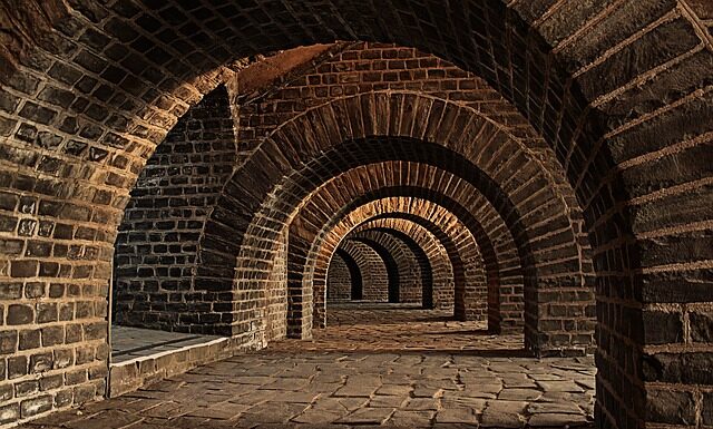 Jak tanio zbudować tunel foliowy?