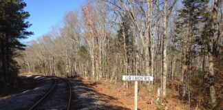 Jaka sól do młynka elektrycznego?