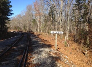 Jaka sól do młynka elektrycznego?