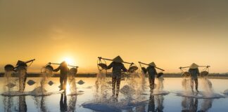 Czy sól himalajska to sól kamienna?