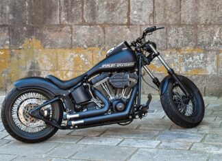 Jaką pojemność miski dla shih tzu?