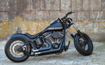 Jaką pojemność miski dla shih tzu? Jaką pojemność miski dla shih tzu?