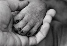 Po co jest udar w Wkrętarce?