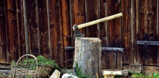 Z jakiego drzewa najlepiej zrobić trzonek do siekiery?