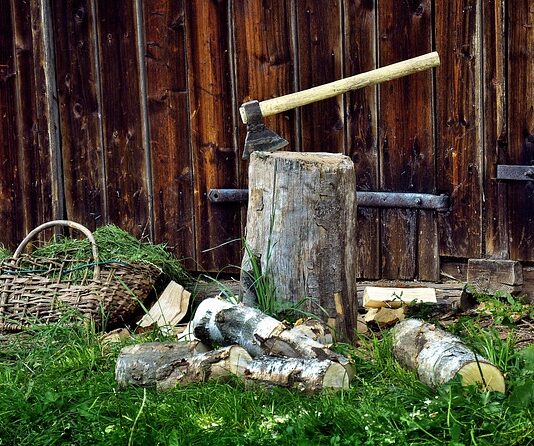 Z jakiego drzewa najlepiej zrobić trzonek do siekiery?