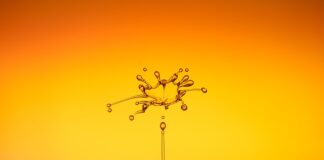 Dlaczego wodą w toalecie się cofa?