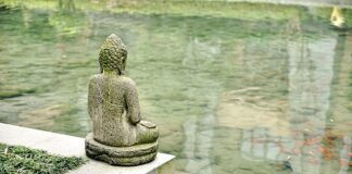 Ile kosztuje instalacja KNX?