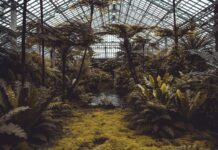 Z czego zrobić mini szklarnię? Z czego zrobić mini szklarnię?