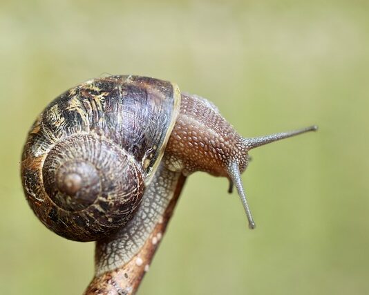 Czy czujnik dymu reaguje na parę wodną?