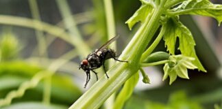 Jak Zgrzać folie na szklarni?