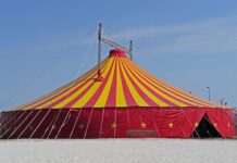 Po czym poznać że ściana jest nośna? Po czym poznać że ściana jest nośna?