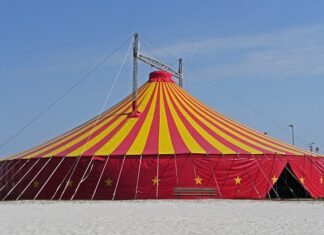 Po czym poznać że ściana jest nośna?