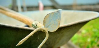 Czym się różni Motyka od Gracy?