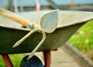 Czym się różni Motyka od Gracy?