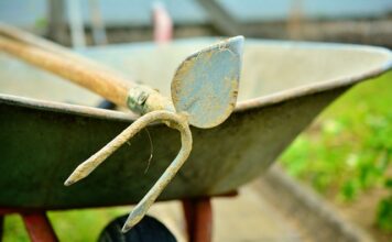 Czym się różni Motyka od Gracy?