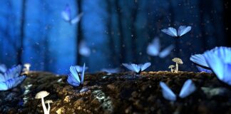 Jak zabezpieczyć okna przed owadami?