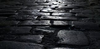 Jak przygotować podłoże w szklarni?