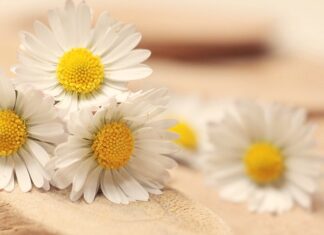 Jaką miarę wybrać?