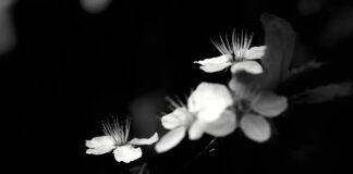 Jak zaprogramować KNX?