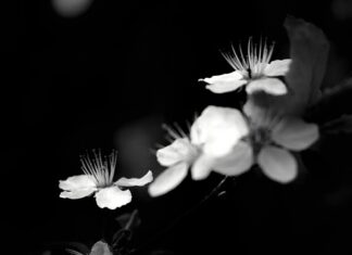 Jak zaprogramować KNX?