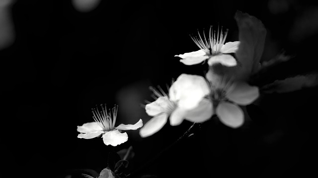 Jak zaprogramować KNX? Jak zaprogramować KNX?