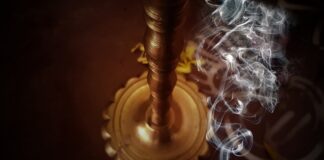 Ile kosztują swojskie jajka?