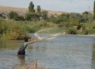 Czym przykleić siatkę do okna?