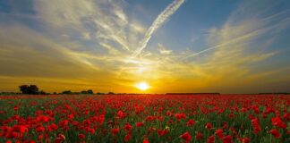 Czy pole dance zmienia sylwetkę?