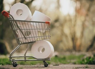 Jak wybrać toaletę?